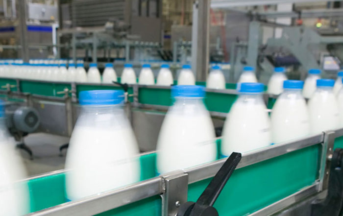 Dairy Processing Safety Engineering Services